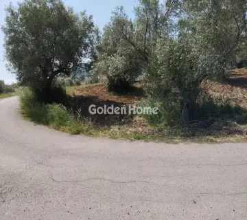 Αγροτεμάχιο 4000τ.μ. προς πώληση φωτογραφία 4857139