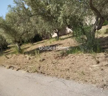 Αγροτεμάχιο 4000τ.μ. προς πώληση φωτογραφία 4857138