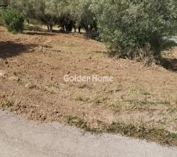 Αγροτεμάχιο 4000τ.μ. προς πώληση φωτογραφία 4857154