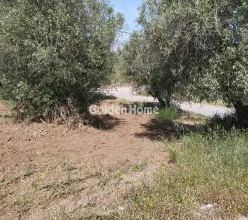 Αγροτεμάχιο 4000τ.μ. προς πώληση φωτογραφία 4857140