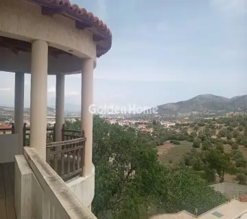 Golden Home Property Image