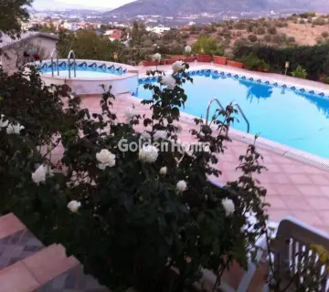 Golden Home Property Image