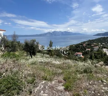 Οικιστικό 1050τ.μ. προς πώληση φωτογραφία 4822590