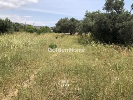 Professional Plot 4100m<sup>2</sup> for rent photo 1