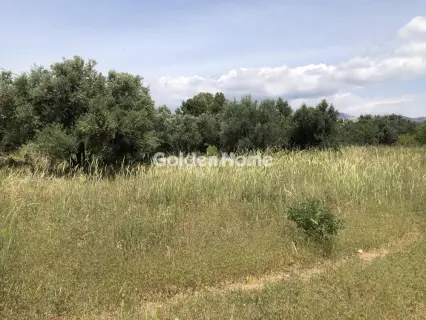 Professional Plot 4100m<sup>2</sup> for rent photo 2