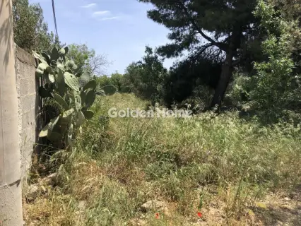 Professional Plot 4100m<sup>2</sup> for rent photo 4