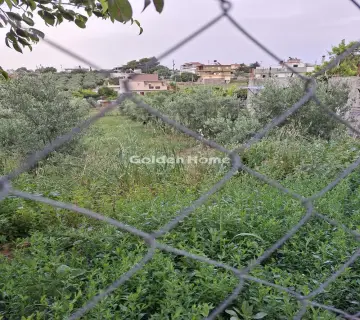 住宅 852m<sup>2</sup> for sale photo 4840857