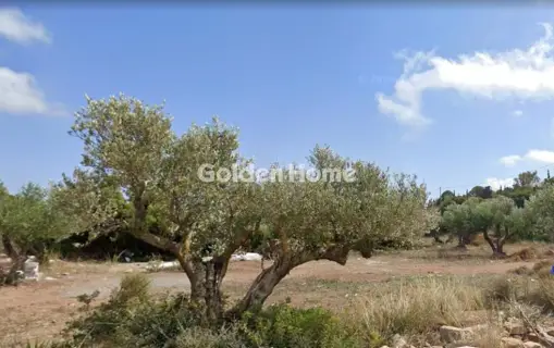 Οικιστικό 1500τ.μ. προς πώληση φωτογραφία 1
