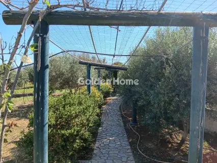 独立复式小屋 420m<sup>2</sup> for sale photo 11