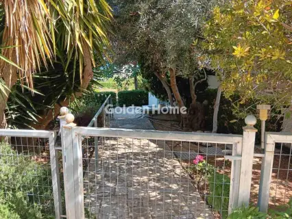 独立复式小屋 420m<sup>2</sup> for sale photo 10