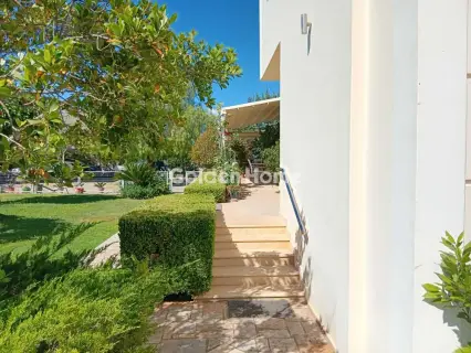 独立复式小屋 420m<sup>2</sup> for sale photo 5