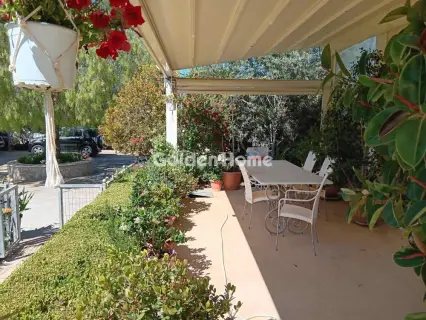 独立复式小屋 420m<sup>2</sup> for sale photo 83