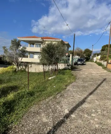 Μονοκατοικία 355τ.μ. προς πώληση φωτογραφία 4