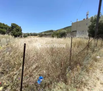 Residential 756m<sup>2</sup> for sale photo 2