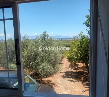 Golden Home Property Image
