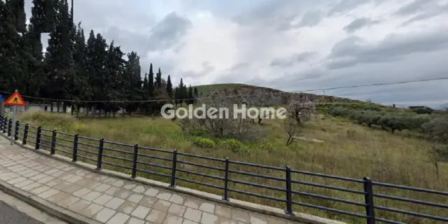 Golden Home Property Image