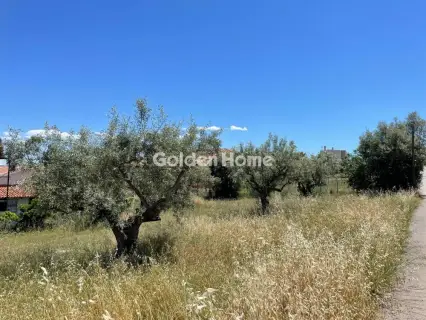 Αγροτεμάχιο 315τ.μ. προς πώληση φωτογραφία 4831260