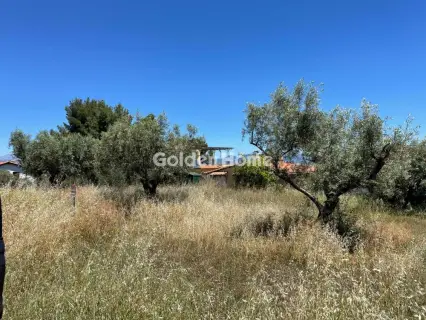 Αγροτεμάχιο 315τ.μ. προς πώληση φωτογραφία 4831257