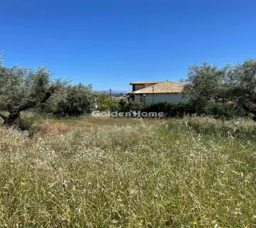 Αγροτεμάχιο 315τ.μ. προς πώληση φωτογραφία 4831251