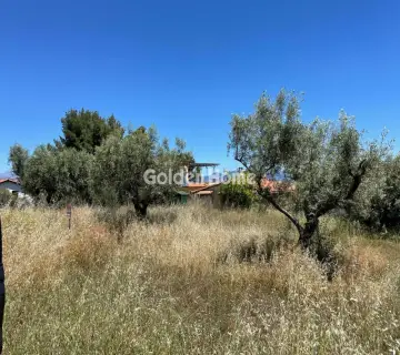 Αγροτεμάχιο 315τ.μ. προς πώληση φωτογραφία 4831237