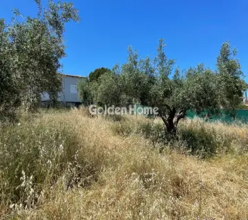 Αγροτεμάχιο 315τ.μ. προς πώληση φωτογραφία 4831238