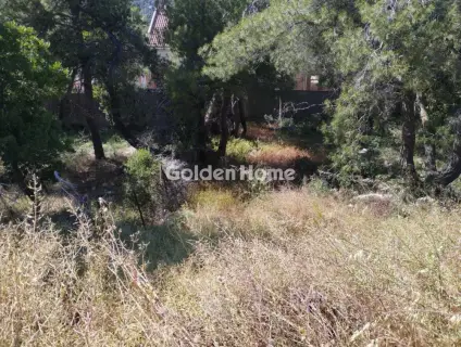 Residential 850m<sup>2</sup> for sale photo 3