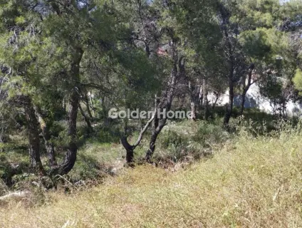 Residential 850m<sup>2</sup> for sale photo 5