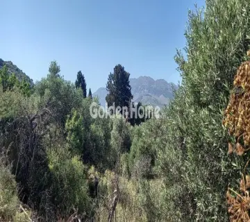 住宅 1206m<sup>2</sup> for sale photo 4837450