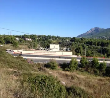 Επαγγελ. Οικόπεδο 7310τ.μ. προς πώληση φωτογραφία 1
