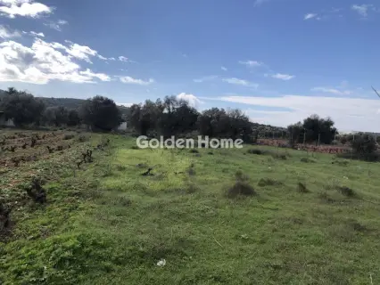 Επαγγελ. Οικόπεδο 7500τ.μ. προς ενοικίαση φωτογραφία 1