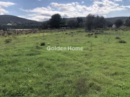 Επαγγελ. Οικόπεδο 7500τ.μ. προς ενοικίαση φωτογραφία 2