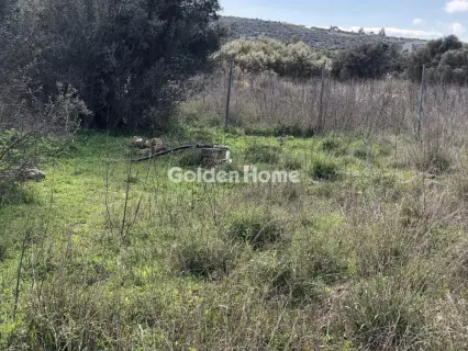 Επαγγελ. Οικόπεδο 7500τ.μ. προς ενοικίαση φωτογραφία 5
