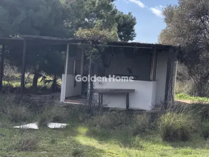 Επαγγελ. Οικόπεδο 7500τ.μ. προς ενοικίαση φωτογραφία 7