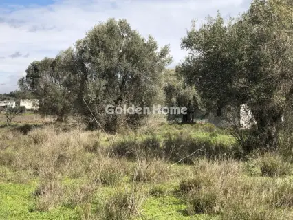 Επαγγελ. Οικόπεδο 7500τ.μ. προς ενοικίαση φωτογραφία 8