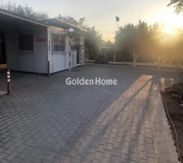 Golden Home Property Image