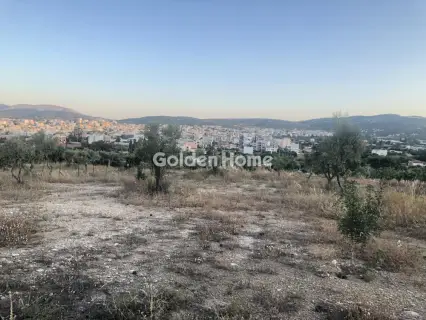 Επαγγελ. Οικόπεδο 15000τ.μ. προς ενοικίαση φωτογραφία 1