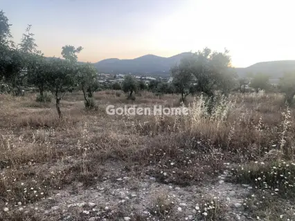 Επαγγελ. Οικόπεδο 15000τ.μ. προς ενοικίαση φωτογραφία 2