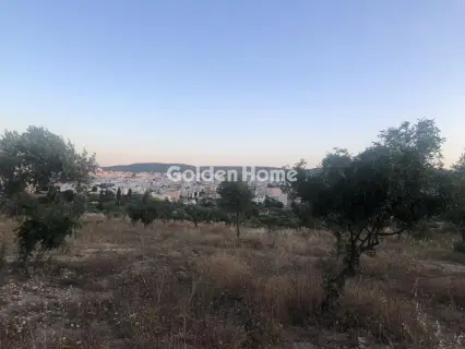 Επαγγελ. Οικόπεδο 15000τ.μ. προς ενοικίαση φωτογραφία 4