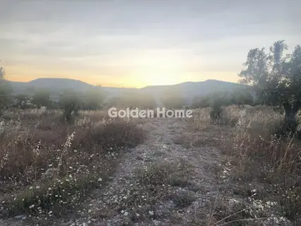 Επαγγελ. Οικόπεδο 15000τ.μ. προς ενοικίαση φωτογραφία 5