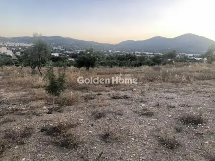 Επαγγελ. Οικόπεδο 15000τ.μ. προς ενοικίαση φωτογραφία 6