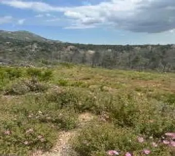 Residential 1037m<sup>2</sup> for sale photo 1