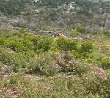 Residential 1037m<sup>2</sup> for sale photo 3