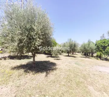 Residential 700m<sup>2</sup> for sale photo 2
