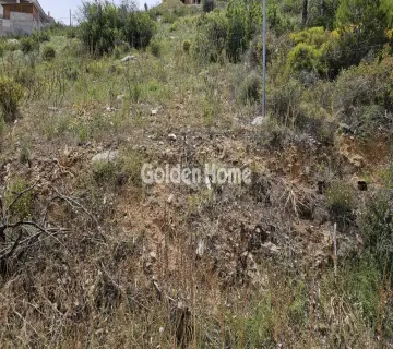 Οικιστικό 1355τ.μ. προς πώληση φωτογραφία 4839561