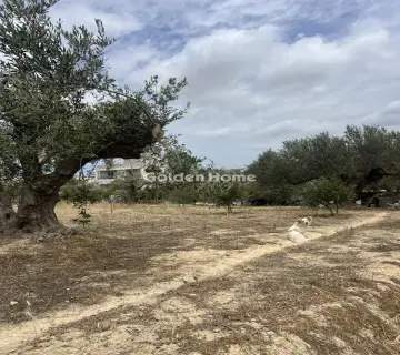 Residential 600m<sup>2</sup> for sale photo 7