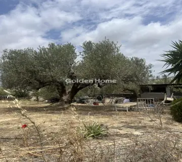Residential 600m<sup>2</sup> for sale photo 6