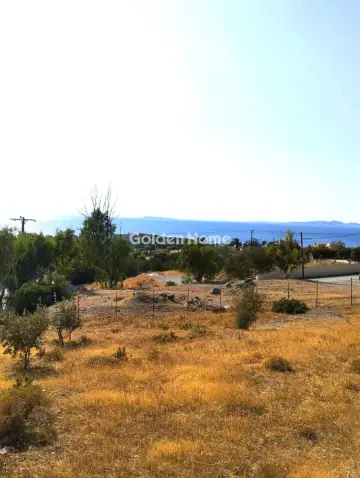Residential 2985m<sup>2</sup> for sale photo 2