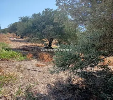 Residential 4050m<sup>2</sup> for sale photo 2