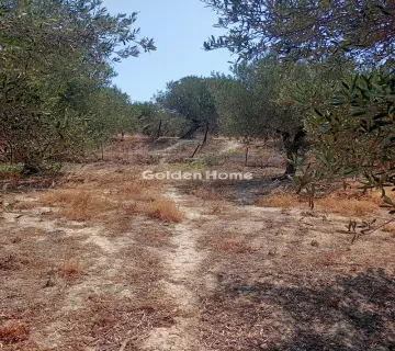 Residential 4050m<sup>2</sup> for sale photo 7