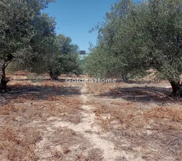 Residential 4050m<sup>2</sup> for sale photo 9